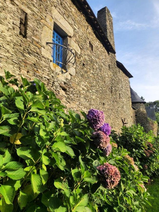 Manoir De Barbotin Apartment Ploërmel Exterior foto